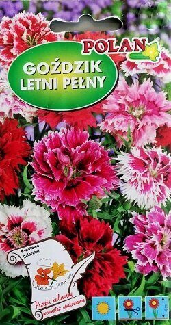 Ķīnas neļķe pildīta MIX 1 g Polan   A.P.